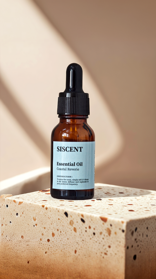 SISCENT Coastal Reverie