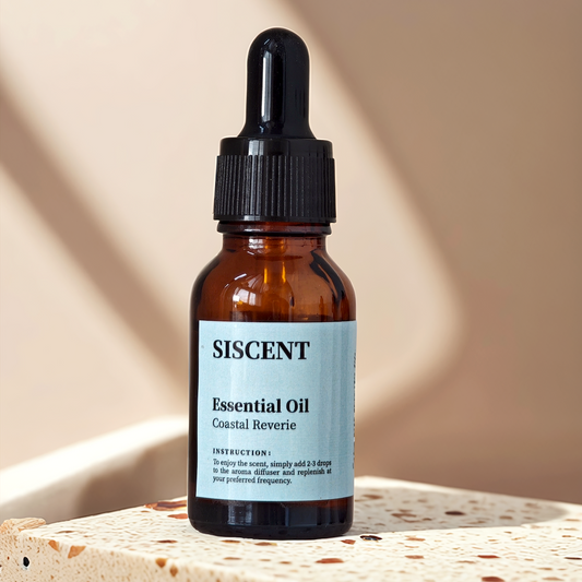 SISCENT Coastal Reverie